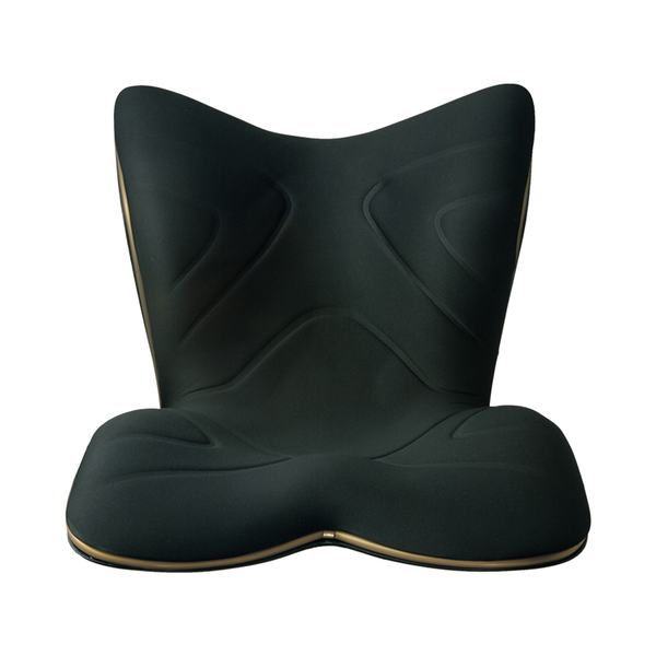 Style Premium 舒適豪華 護脊椅 / 坐墊 /  坐姿調整椅【A 級商品】