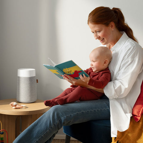 Blueair Blue Mini Max 瑞典北歐美學 空氣清淨機（適用 6 坪空間)【B 級商品，無保固】