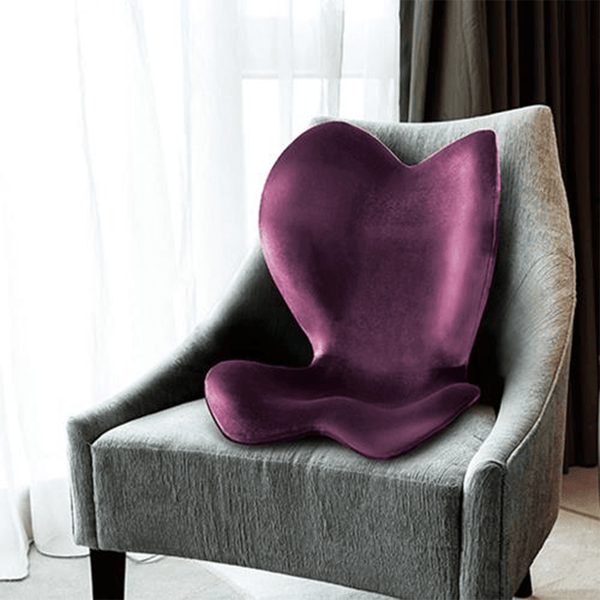 Style Elegant 美姿 高背款 護脊椅 / 坐墊 / 坐姿調整椅 棕色款【A 級商品】 - restyle2050